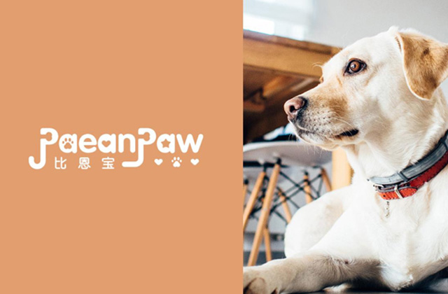 比恩寶 | 寵物標(biāo)志策劃設(shè)計(jì)